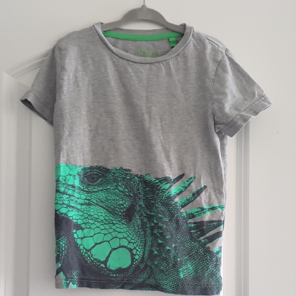 Boden Gray and Green Iguana Kids T-Shirt